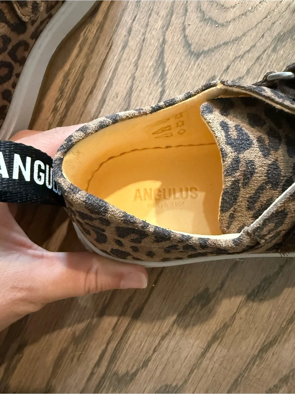 Angulus Kids Leopard Print Velcro Sneakers - Brown